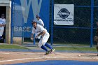 Baseball vs Babson  Wheaton College Baseball vs Babson during Championship game of the NEWMAC Championship hosted by Wheaton. - (Photo by Keith Nordstrom) : Wheaton, baseball, NEWMAC
